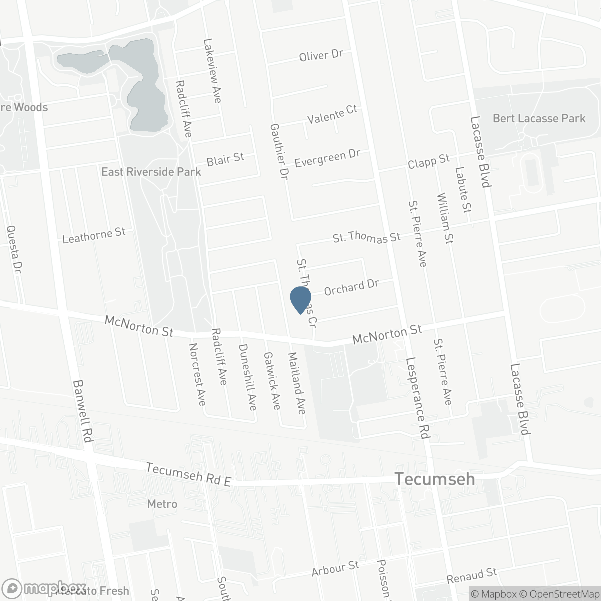 12033 ST THOMAS, Tecumseh, Ontario N8N 3V6